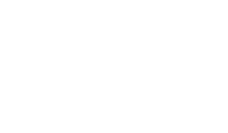 Logo Black Bird Concept - barbería